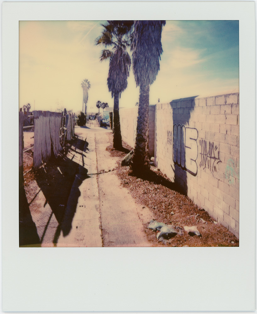 Polaroid 19